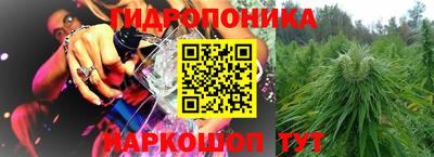 крисы Волжский